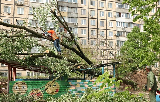 До КП «Міськзеленбуд» надійшли 32 заявки щодо повалення дерев: оперативна ліквідація наслідків негоди у Дніпрі