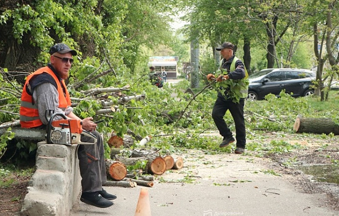 «Видаляємо тільки ті дерева, що є аварійними», — представниця департаменту гуманітарної політики Дніпра