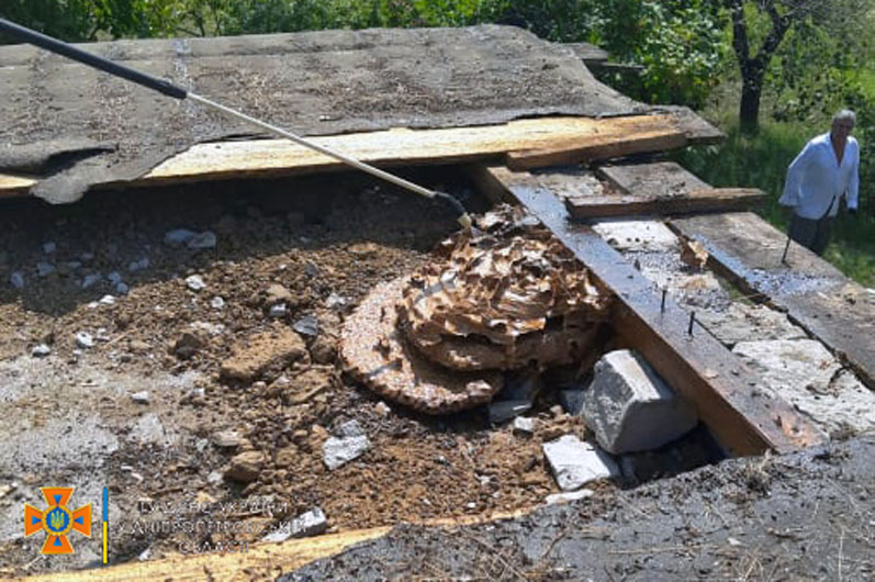 В центре Днепра на Набережной на балконе дома спасатели ликвидировали гнездо шершней (ФОТО)