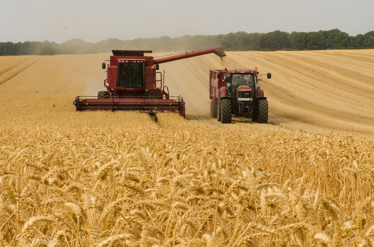 На Днепропетровщине собрали первый миллион тонн зерновых