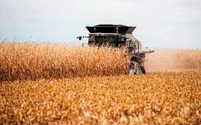 Дніпропетровщина очолила всеукраїнський рейтинг виробників сільського господарства