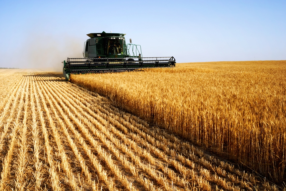 Аграрії Дніпропетровщини вже зібрали майже 75% ранніх зернових