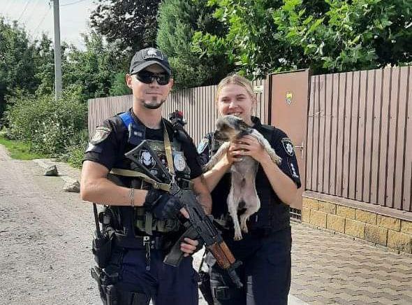 На Дніпропетровщині чоловік викрав у сусідки йорка: пошуком ймовірного крадія займалися патрульні