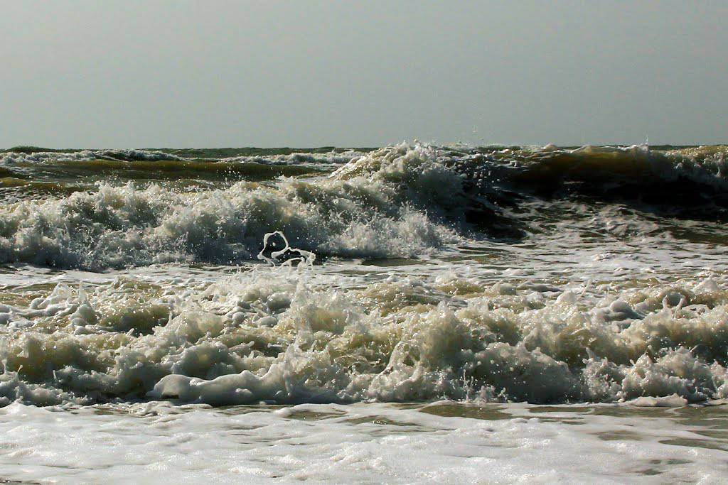 На Азовском море шторм: спасатели предупреждают об опасности