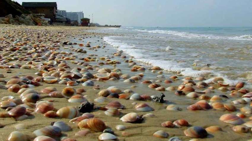 Только море и тишина: названы семь пляжей в Украине, где нет наплыва туристов