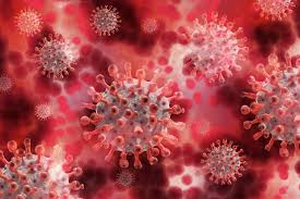 Стало известно, кто чаще всего заболевает и умирает от коронавируса