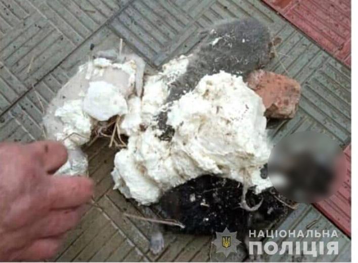 Житель Харьковщины пытался замуровать кошку с котятами в стене дома