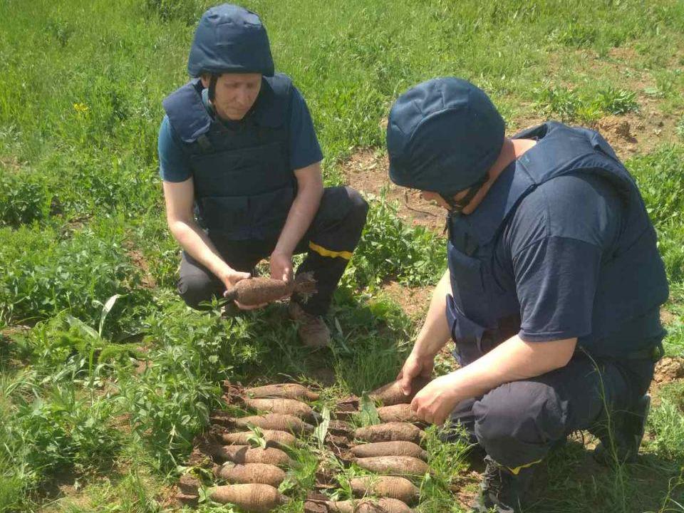 В поле под Запорожьем обнаружили 26 взрывоопасных предметов (ФОТО)