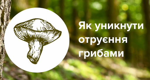 На Дніпропетровщині зафіксували черговий випадок отруєння дикорослими грибами