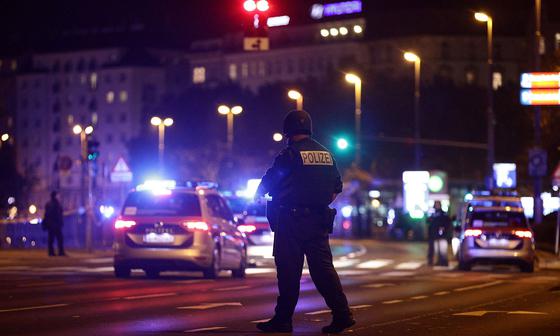 Четверо погибших и исламистские мотивы нападавших: что известно о теракте в Вене