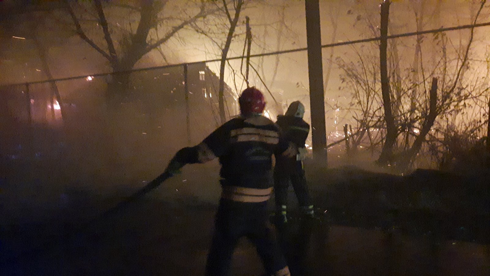В Луганской области масштабные лесные пожары, погибли 4 человека