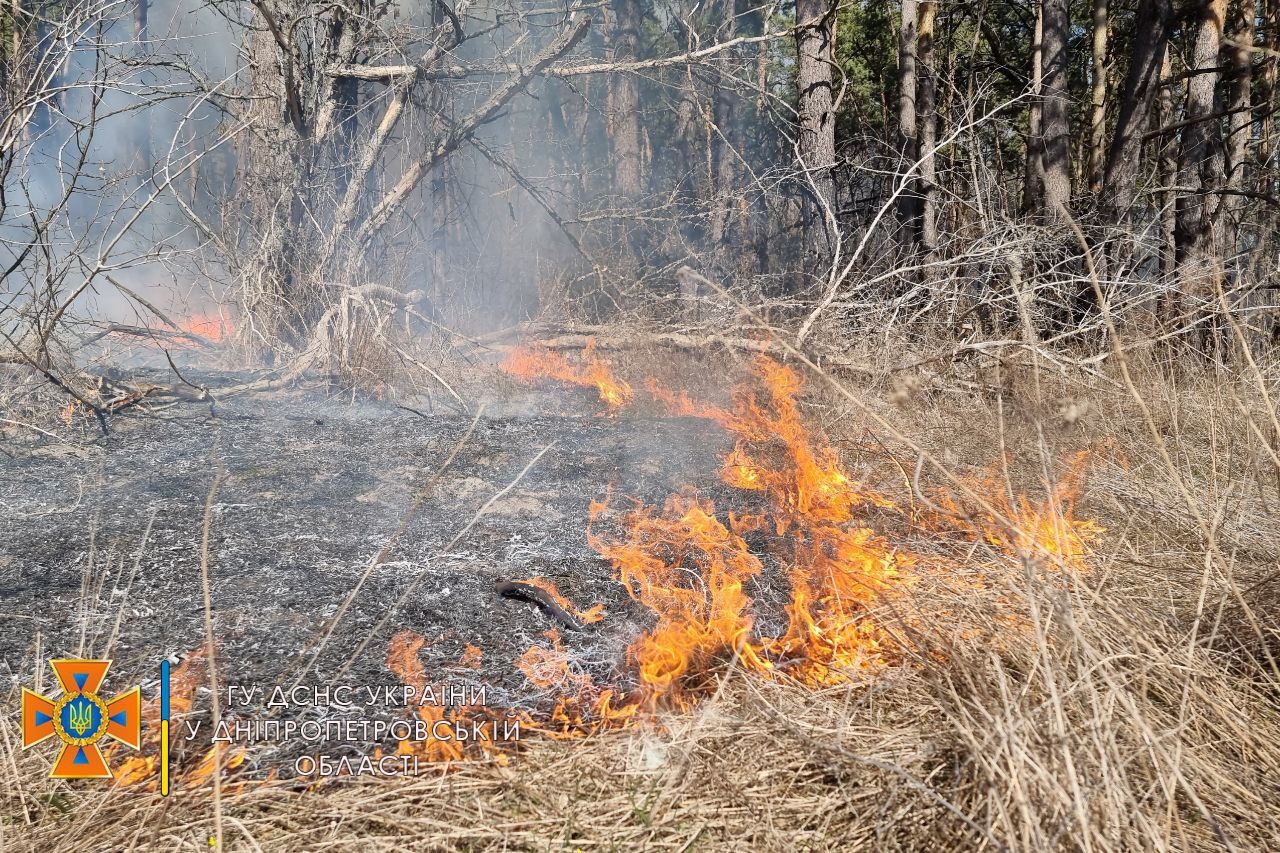 За добу 11 пожеж в екосистемах Дніпропетровщини: хто з районів в антилідерах