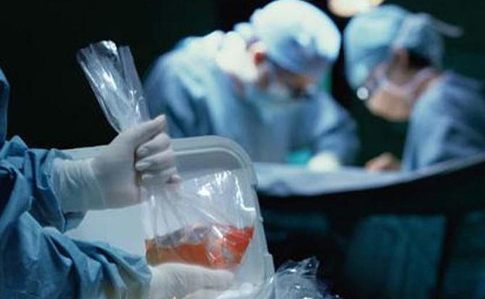 Дать прижизненное согласие или несогласие на пожертвование органов для трансплантации можно будет через «Дію»: президент подписал закон