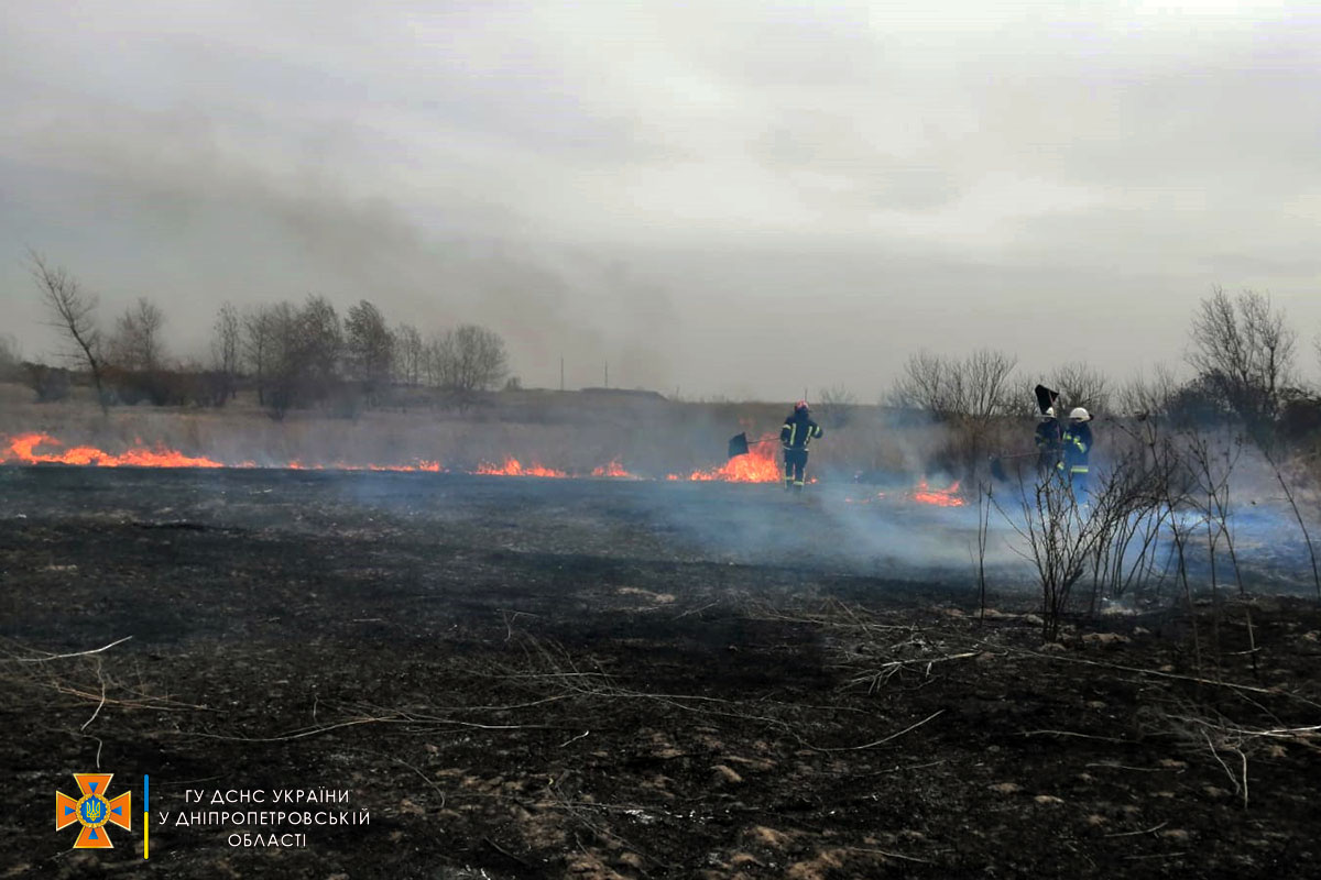 Десятки пожеж за добу в екосистемі Дніпропетровщини: надзвичайними вкотре закликають людей зупинитися  