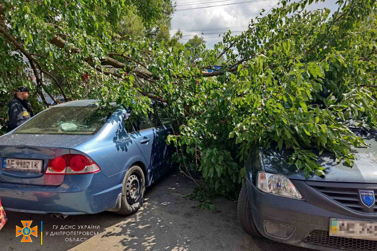 У Дніпрі на припарковані автівки впало дерево