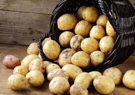 Экономический эксперт назвал причину резкого падения цены на картошку