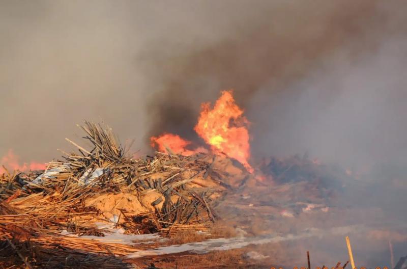 В Киевской области загорелась  несанкционированная свалка: огнем уничтожено 400 кв. метров