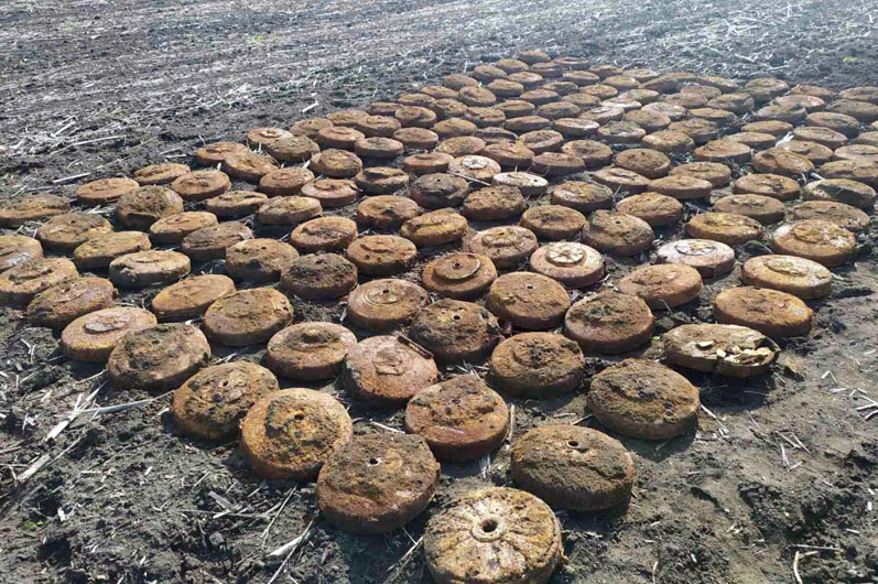 В Днепропетровской области обнаружили минное поле (ФОТО)