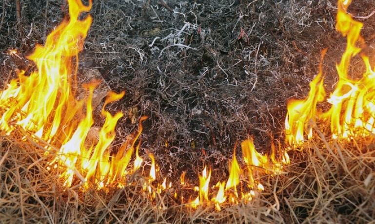 ГСЧС предупреждает о пожарной опасности в пяти областях