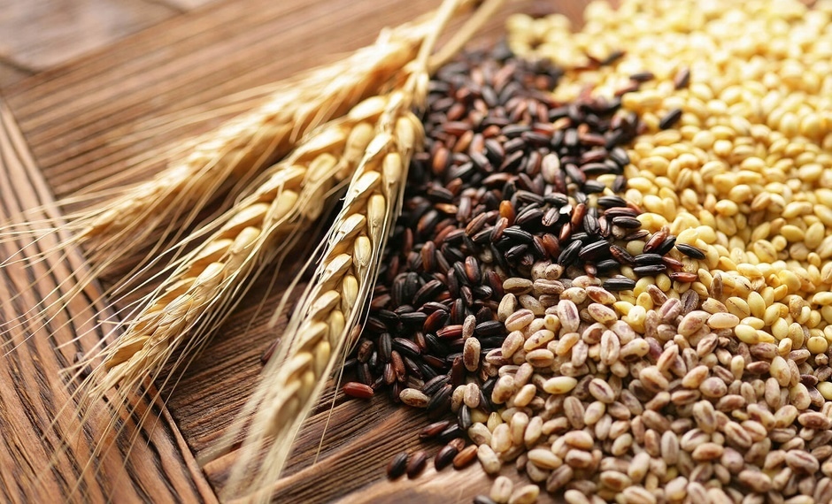 Голода не будет: как в 2020 году уродили зерновые культуры в Днепропетровском регионе