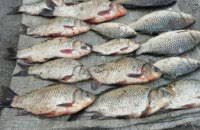 За февраль браконьеры Днепропетровщины нанесли ущерб рыбному хозяйству почти на 25 000 гривен