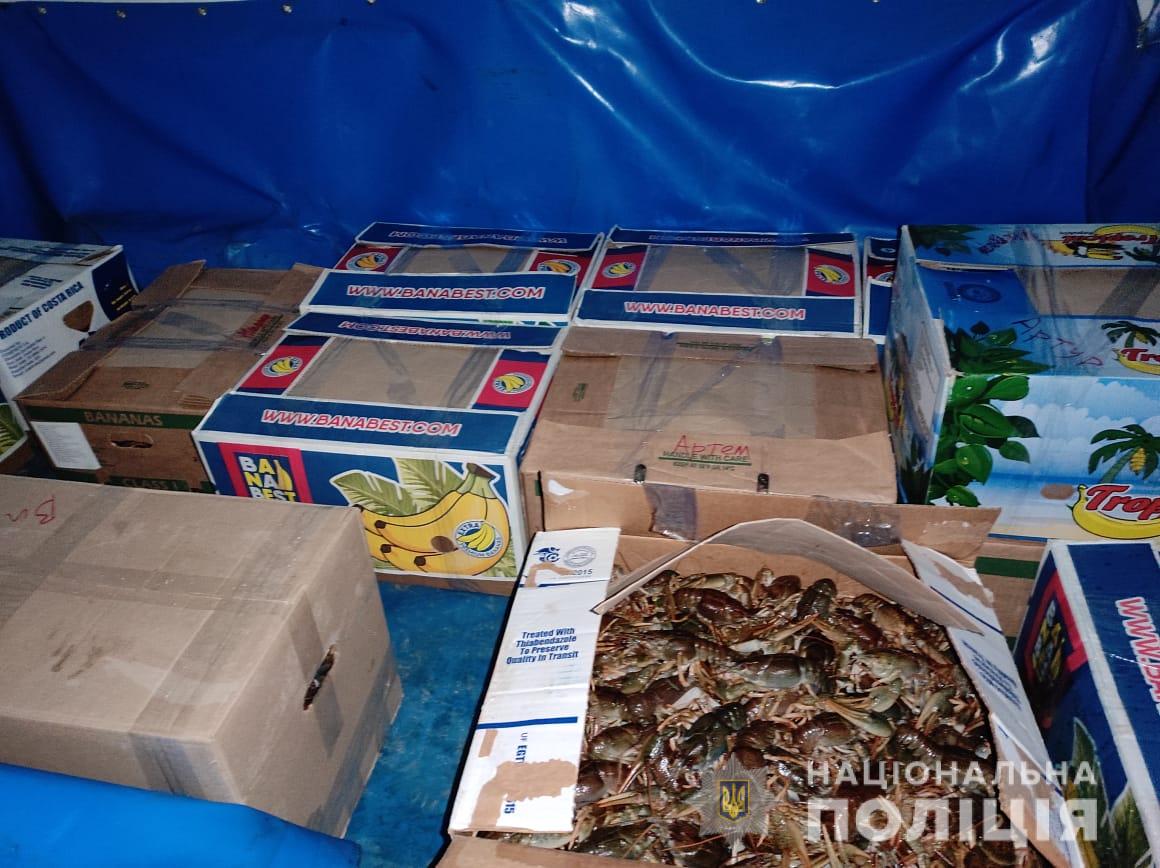 Житель Днепропетровщины пытался в ящиках из-под бананов отправить в Одессу 330 кг раков