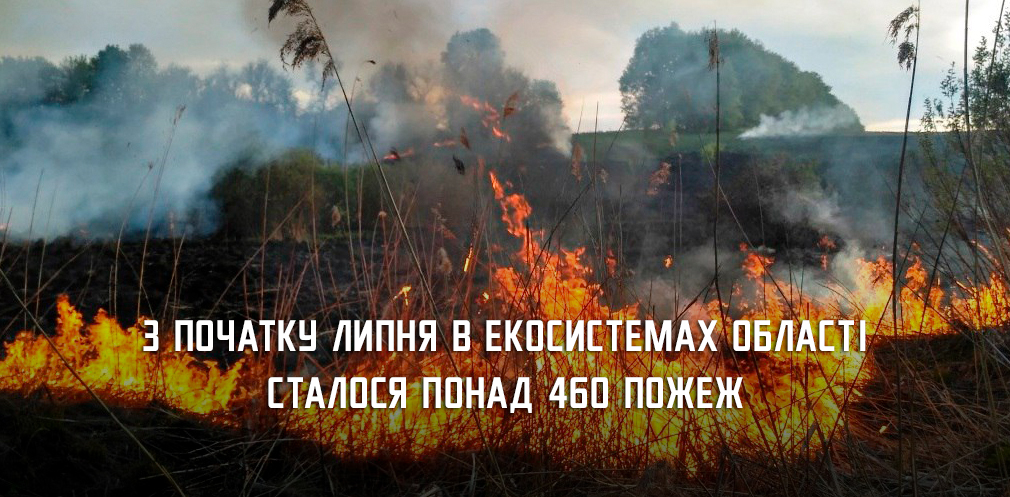 З початку місяця екосистеми Дніпропетровщини горіли більш ніж 460 разів