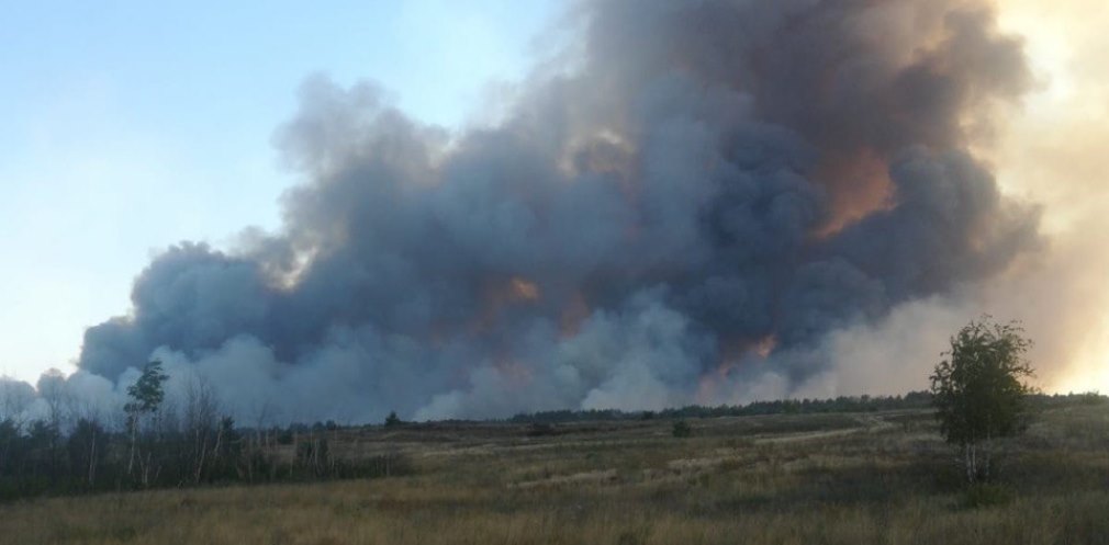 У Новомосковському районі горить ліс