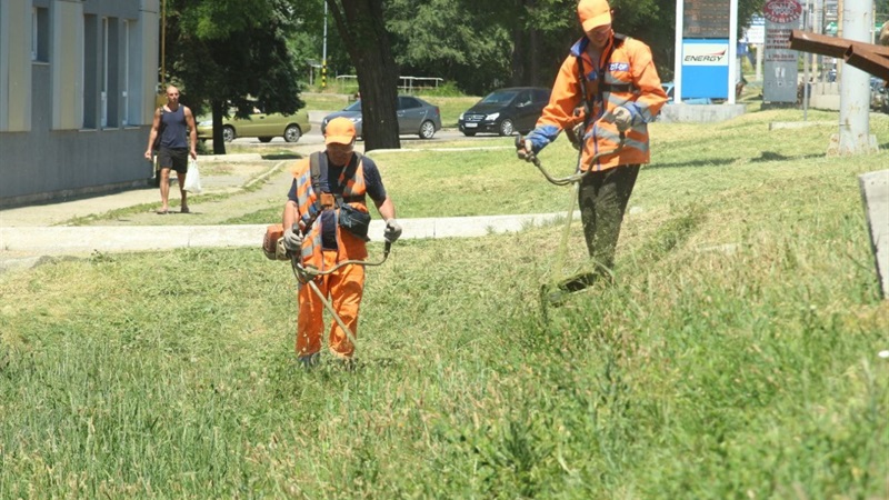 Покіс трави у Дніпрі: де проводяться роботи