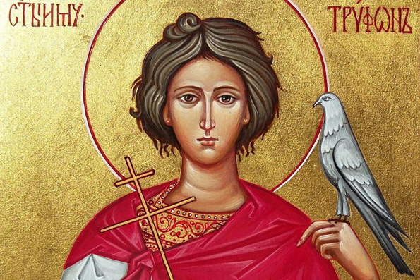 Сегодня у православных Предпразднство Сретения Господня и день памяти святого мученика Трифона