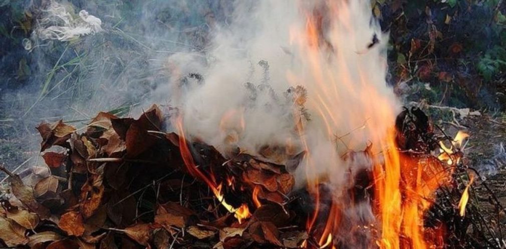 Шкодить довкіллю, здоров’ю та загрожує штрафами: мешканцям регіону нагадали про заборону спалювати опале листя 