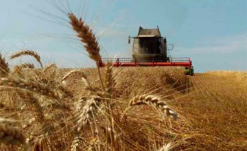 На Днепропетровщине собрали уже более 2,7 млн тонн зерна