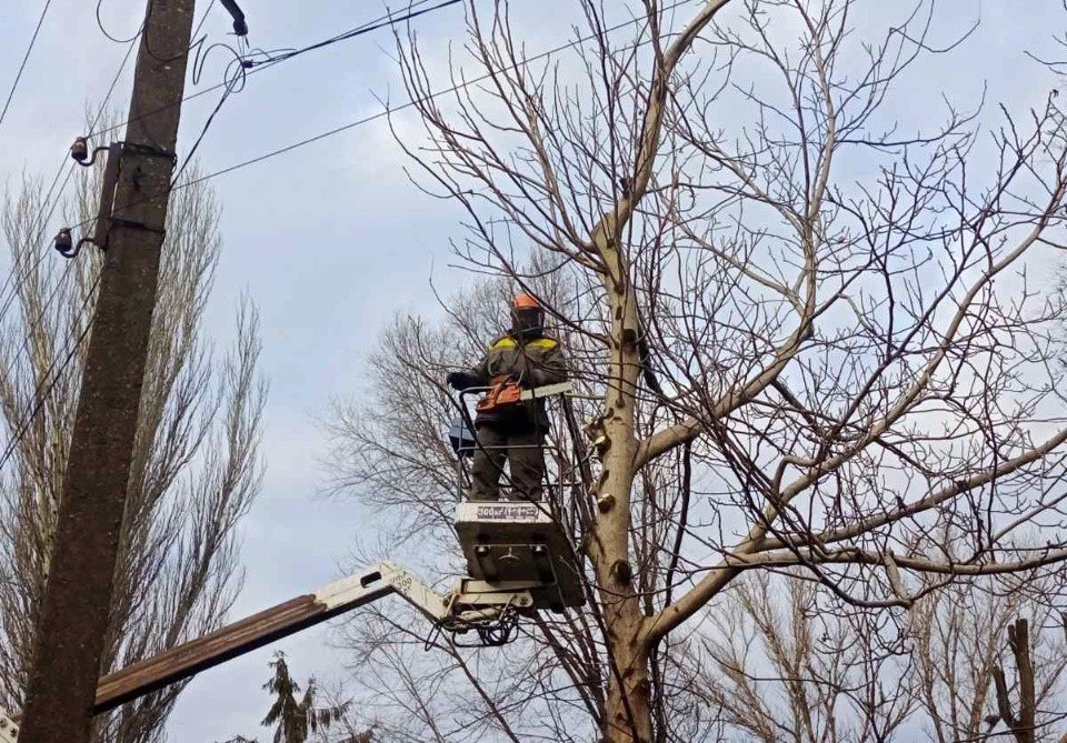 Для запобігання аваріям ДТЕК Дніпровські електромережі розчистить від гілок понад 3 тисячі кілометрів електроліній у 2024