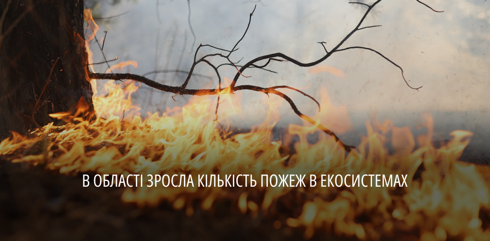 Понад 800 пожеж з початку року: на Дніпропетровщині почастішали випадки займань в екосистемах