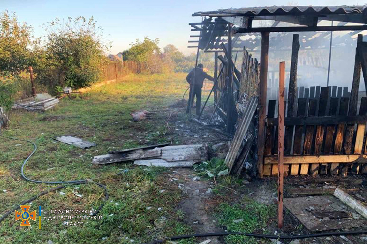 В следствии пожара в Подгородном погибло 10 домашних животных   