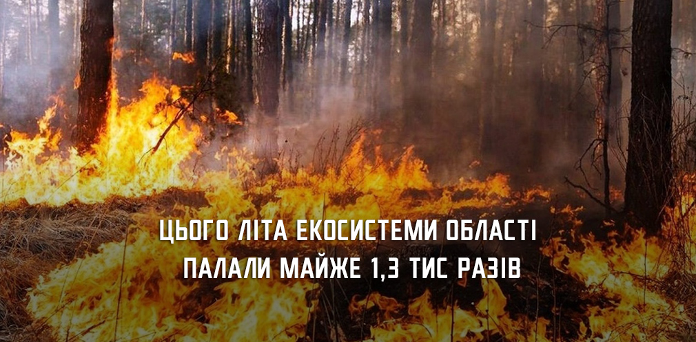 Влітку екосистеми Дніпропетровщини горіли майже 1,3 тис разів