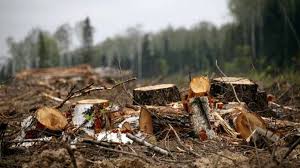 За прошлую неделю окружающей среде Украины нанесен ущерб на 52 млн грн