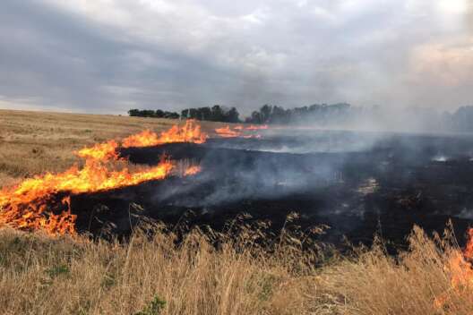 Спасатели предупредили украинцев о высокой пожарной опасности