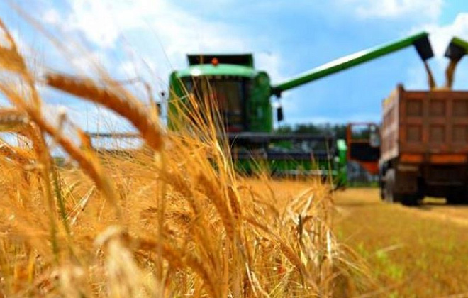 Аграрії Дніпропетровщини можуть скористатися урядовою програмою підтримки 