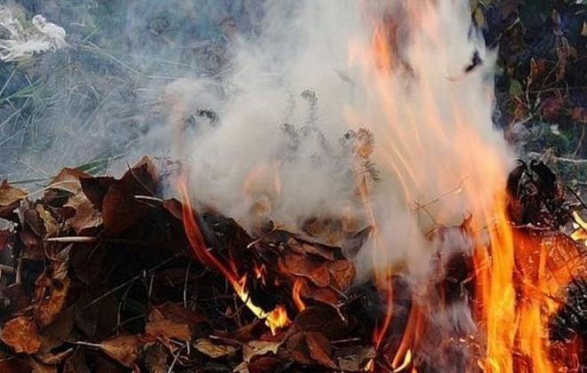 Шкодить довкіллю, здоров’ю та загрожує штрафами: мешканцям регіону нагадали про заборону спалювати опале листя 