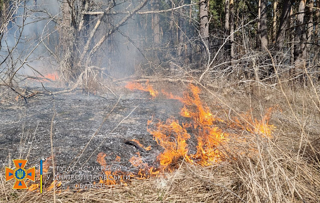 За добу 11 пожеж в екосистемах Дніпропетровщини: хто з районів в антилідерах