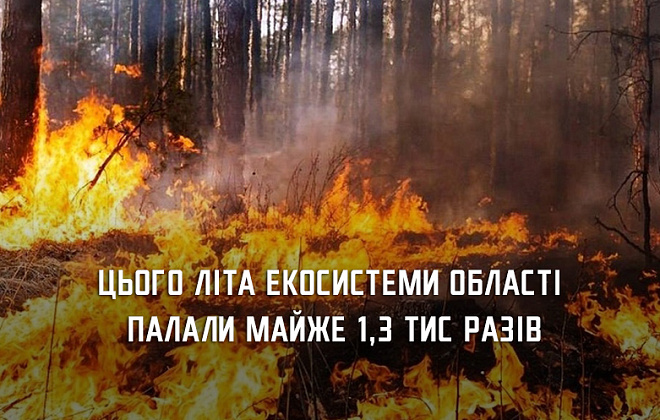 Влітку екосистеми Дніпропетровщини горіли майже 1,3 тис разів