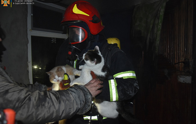 В Одессе во время пожара бойцы ГСЧС спасли домашних питомцев 