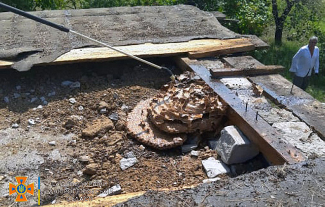В центре Днепра на Набережной на балконе дома спасатели ликвидировали гнездо шершней (ФОТО)