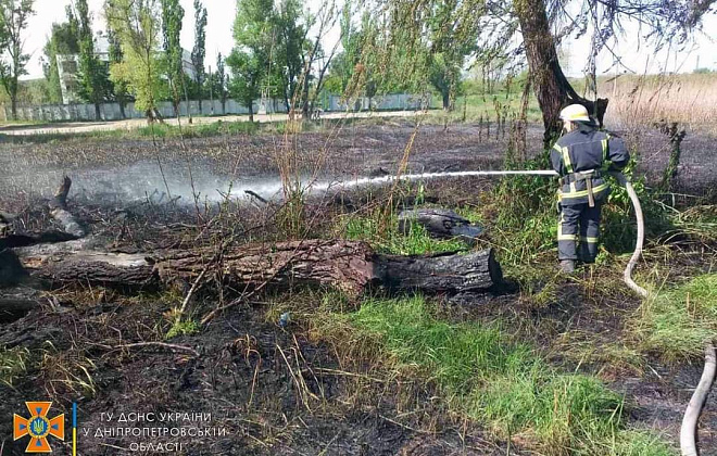 Рятувальники гасили пожежу у  Кам'янському: полум'ям була охоплена територія у два гектари 