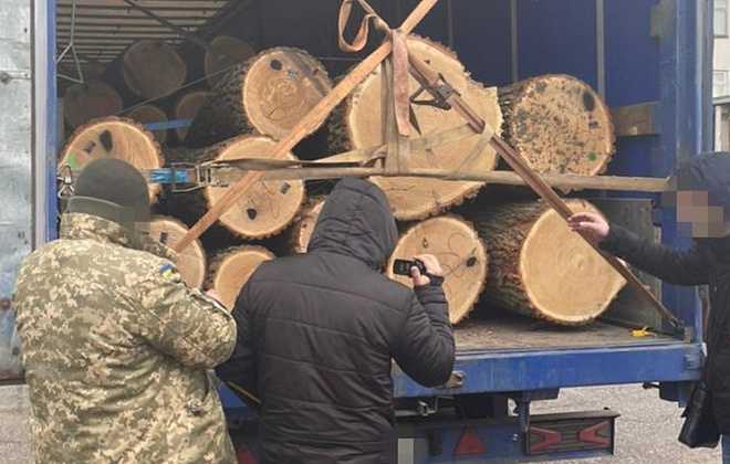 Более 40 осужденных и ущерб на сотни миллионов гривен: СБУ разоблачает схемы незаконного сбыта лесных ресурсов