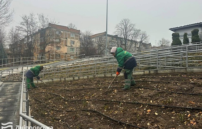 Довго цвітуть та стійкі до хвороб і шкідників: у Дніпрі в парку Зелений Гай висадили 100 кущів троянд