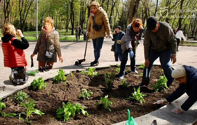 #Дніпро_квітучий: слухачі «Університету третього віку» висадили квіти на клумбах у парку ім. Т. Г. Шевченка