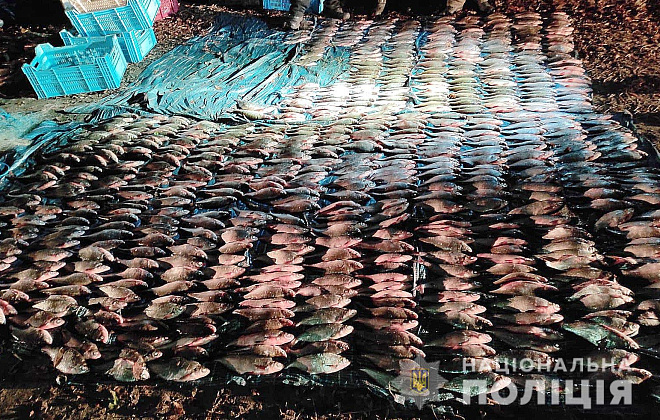 На Полтавщине двое мужчин незаконно выловили почти 1 000 кг рыбы 