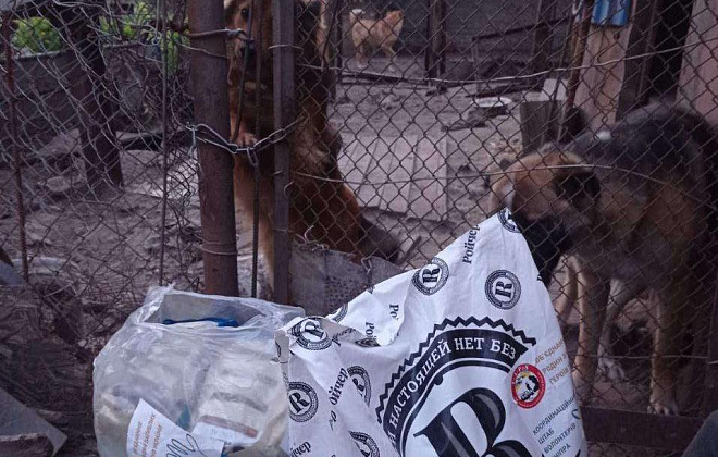 2 855 кг корму для тварин надали «ТАПС-Україна» та Центр допомоги тваринам Координаційного штабу волонтерів Дніпра впродовж цього тижня